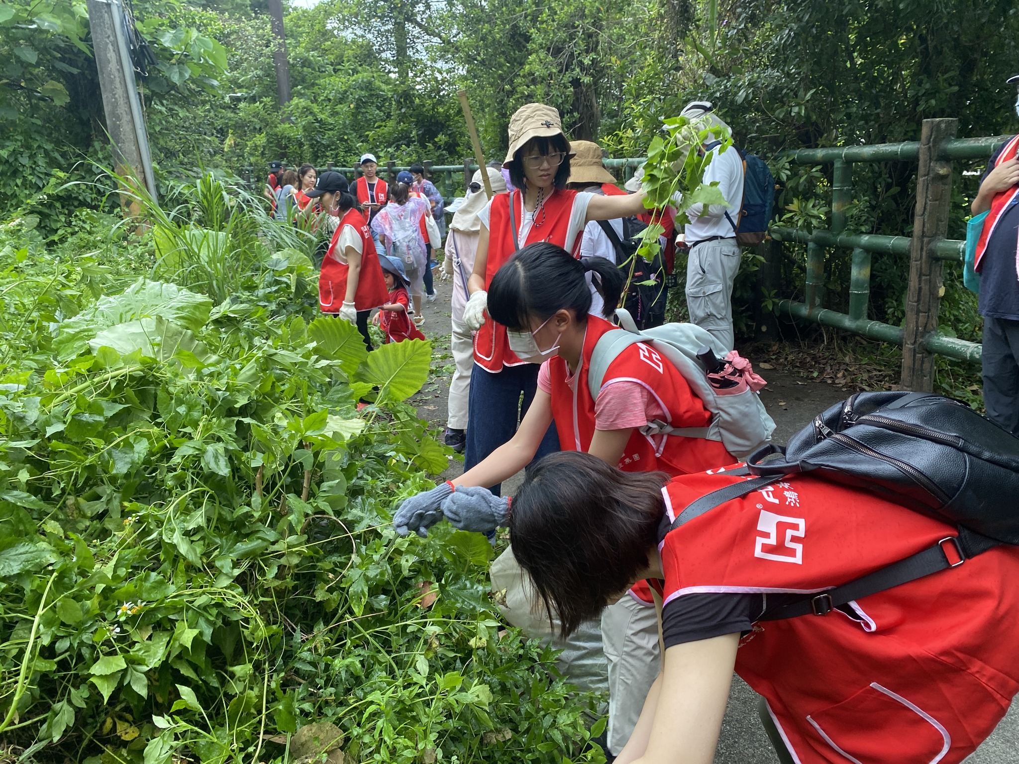 鴻海科技集團-大安圳賞蝶步道圖片